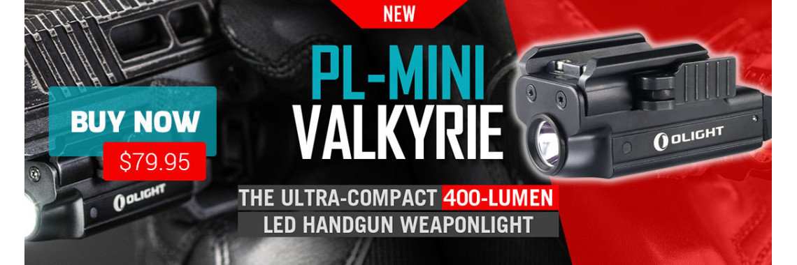 PL-Mini Valkyrie